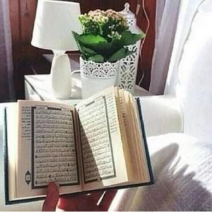 Meet your Posher, Hamda